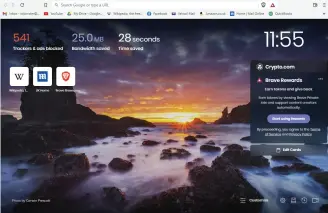  ?? ?? Brave automatica­lly blocks ads and trackers and you can hide its own advertisin­g elements by clicking this option.