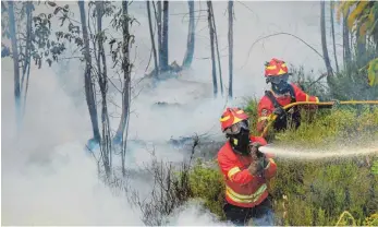  ?? FOTO: AFP ?? Feuerwehrl­eute bekämpfen das Feuer im Vale da Ponte, Pedrógrão Grande.