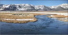  ?? ?? The upper Owens River is flowing high at 90 CFS and is off color from the melting snow.