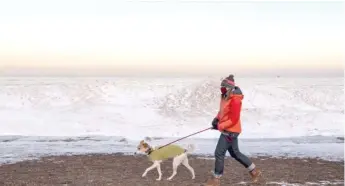  ?? TYLER LARIVIERE/SUN-TIMES ?? A woman walks her dog near Foster Avenue Beach last week.