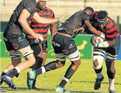  ?? Picture: FREDLIN ADRIAAN ?? FIRM GRIP: EP’s Lindokuhle Welemu drives forward with the ball in hand against the Sharks at the Wolfson Stadium in KwaZakhele.