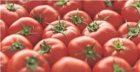  ?? GETTY IMAGES ?? A 2013 agreement on tomatoes from Mexico has been terminated.