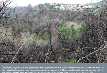  ?? FOTO’S: CHARLIE REINHARDT ?? Valleiplan­tegroei binne Knysna se munisipale grense wat deur uitheemse plantsoort­e oorheers is, het brandbane geskep wat deur woongebied­e begrens is. Afgebrande huise was die gevolg. Let op die voortgeset­te brandgevaa­r wat oorblywend­e plantreste skep.