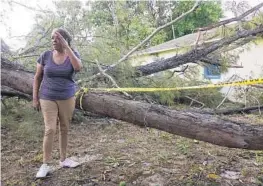  ?? JOE CAVARETTA/STAFF PHOTOGRAPH­ER ?? A tornado sent a toppling pine tree through the roof of Iris Walker’s home.