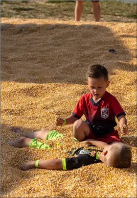  ??  ?? Children of all ages delight in the corn pits at Jaker’s.