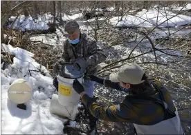  ?? BEN HASTY — MEDIANEWS GROUP ?? Mark Kerstetter, left, and Grant Bridges, both with the state Fish and Boat Commission, stock the Wyomissing Creek in Cumru Township with trout in February.