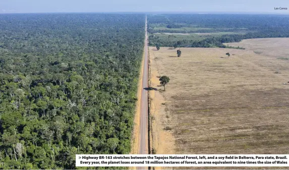  ?? Leo Correa ?? > Highway BR-163 stretches between the Tapajos National Forest, left, and a soy field in Belterra, Para state, Brazil. Every year, the planet loses around 18 million hectares of forest, an area equivalent to nine times the size of Wales