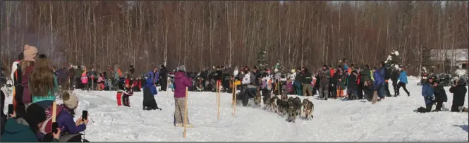  ?? Photos by Nugget Staff ?? ANOTHER CHANCE— Nick Petit comes out of the gate amid cheering crowds. Petit scratched twice at Shaktoolik in previous Iditarod, but the new route avoiding the Bering Sea coast may offer a new chance at victory.