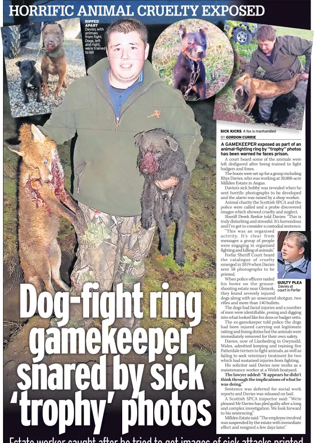  ?? ?? RIPPED APART Davies with animals from fight. Dogs, left and right, were trained to kill
SICK KICKS A fox is manhandled
GUILTY PLEA
Davies at court in Forfar