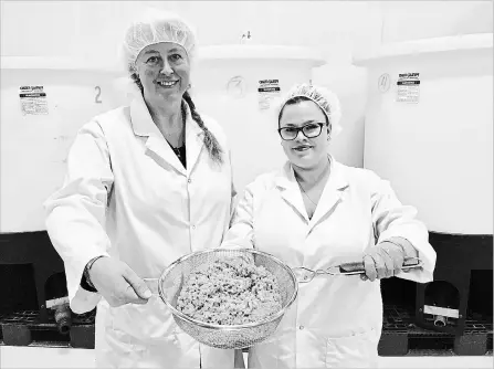  ?? TIFFANY MAYER
SPECIAL TO THE ST. CATHARINES STANDARD ?? Leslie Payne-Zimmer, owner of Tibbev, and her brewer Hilary Hauck make water kefir, a fermented beverage touted for its health benefits.
