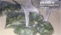  ??  ?? SNEAKED IN Bags of suspected cannabis