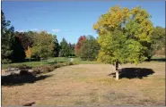  ?? PHOTO BY ALLEN BEST ?? Native turf grasses green up more slowly in spring and turn brown more rapidly in autumn, as was evident at this commons area of a homeowners associatio­n in Fort Collins in mid-october. Kentucky bluegrass and other imported grasses have a longer season of green.