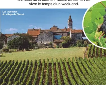  ??  ?? Les vignobles du village de Clessé.