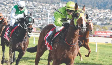  ??  ?? Algernon ( Brendon McCoull) winning a maiden at Elwick on debut.