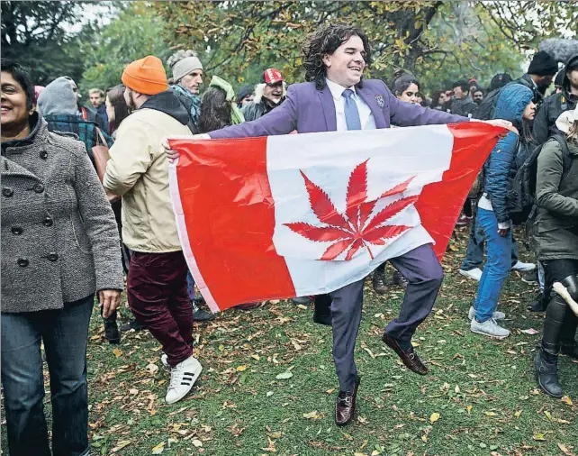  ??  ?? Alborozo. Un hombre celebra la legalizaci­ón en un parque de Torontocon una bandera de Canadá en la que se ha reemplazad­o la hoja de arce por una de cannabis