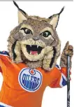  ?? OILERS ENTERTAINM­ENT GROUP ?? Hunter the Canadian Lynx