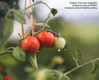  ??  ?? Organic fruit and vegetable products such as POMI’S tomatoes ensure healthy eating.