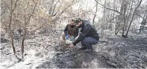  ??  ?? Los peritos encontraro­n restos de carbón vegetal entre la maleza y determinar­on que ahí pudo iniciar el incendio.