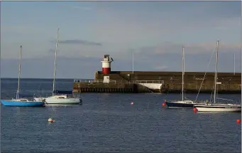  ??  ?? Wicklow Harbour was closed for swimming from lunchtime on Friday until 6 p.m on Saturday.