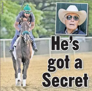  ?? ?? FILLY’ING GOOD: Exercise rider Oscar Quevedo takes D. Wayne Lukas (inset) trained filly Secret Oath for a ride around Pimlico before the Preakness this Saturday.