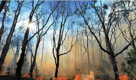  ?? PHOTO: FILE ?? EMERGENCY MANAGEMENT: The State Government released reviews into the bushfires and flooding disaster that affected central and northwest Queensland.