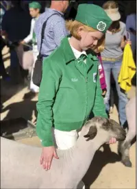  ??  ?? Clara Walker, 11-year-old Star Route 4-H member, prepares to enter the show ring with her lamb, Drew. APRIL WALKER PHOTO