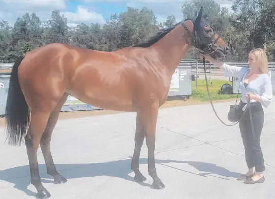  ??  ?? Trainer Angela Plumb with three-year-old filly Sugar Sizzle, who is chasing her first city victory at the Gold Coast tomorrow.