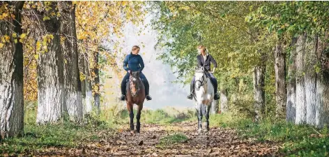  ?? FOTO: ARCHIV ?? Im Idealfall nehmen Reiter Rücksicht auf Fußgänger und schädigen die Waldwege nicht. Klare Regeln können allen helfen.