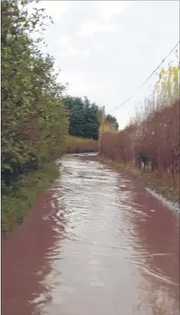  ??  ?? Nash Road near Wingham which floods in heavy rain