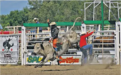  ??  ?? Yee-haw! Rodeos are popular in Swan River, close to the hamlet of Durban where Tom Reynolds settled after leaving London in 1906