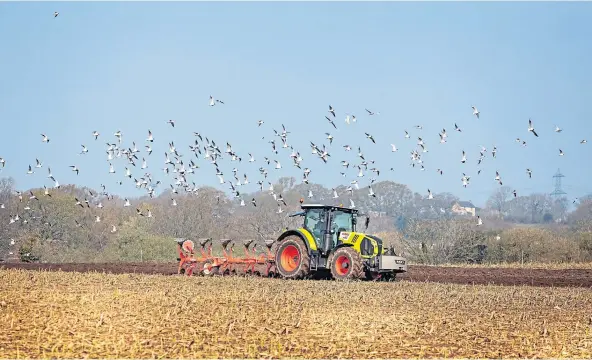  ?? ?? NATURAL WAY FORWARD: Agricultur­al management doesn’t automatica­lly have to stop when managing land for biodiversi­ty on our farms.