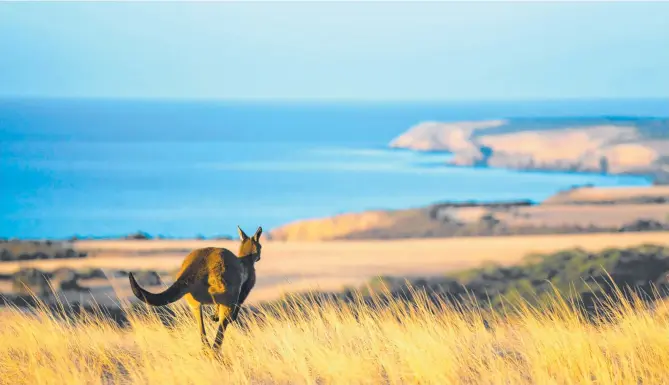  ?? Picture: Ben Goode ?? Remarkable Rocks at Kangaroo Island in South Australia make for a fantastic holiday destinatio­n.