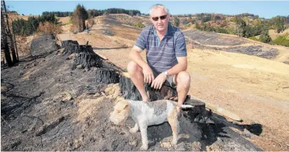  ?? Photo / Mark Mitchell ?? Brian Baxter and his dog Monty have spent weeks in temporary accommodat­ion since the Pigeon Valley fire came within 3m of their home.