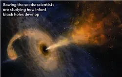  ??  ?? Sowing the seeds: scientists are studying how infant black holes develop