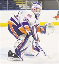  ?? Bridgeport Sound Tigers / Contribute­d Photo ?? Bridgeport Sound Tigers goalie Jakub Skarek stopped all 15 shots he faced on Tuesday against the Hartford Wolf Pack.