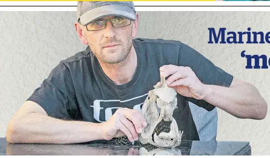  ?? Photo / Warren Buckland ?? Surf-caster Jason Williams with the skull of the 8.1kg snapper he caught off Marine Pde, Napier.