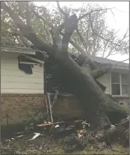  ?? Contribute­d Photo ?? Storm damage: A tree fell through Hope Landing caretakers’ Martin and Elaine Portillo’s home early Saturday morning. The couple was at home with two of their grandchild­ren when the storm hit. They were able to take shelter in Hope Landing’s barn after...