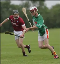  ??  ?? Craig Murphy of Dunbrody Gaels about to strike as Adrian Ryan (St. Martin’s) looks on during their one-sided clash in Piercestow­n.