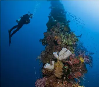  ??  ?? LEFT: Andrew Marriott (USA), diver, photograph­er and writer, ADEX Speaker (Book/Photo/Video
Image Festival)