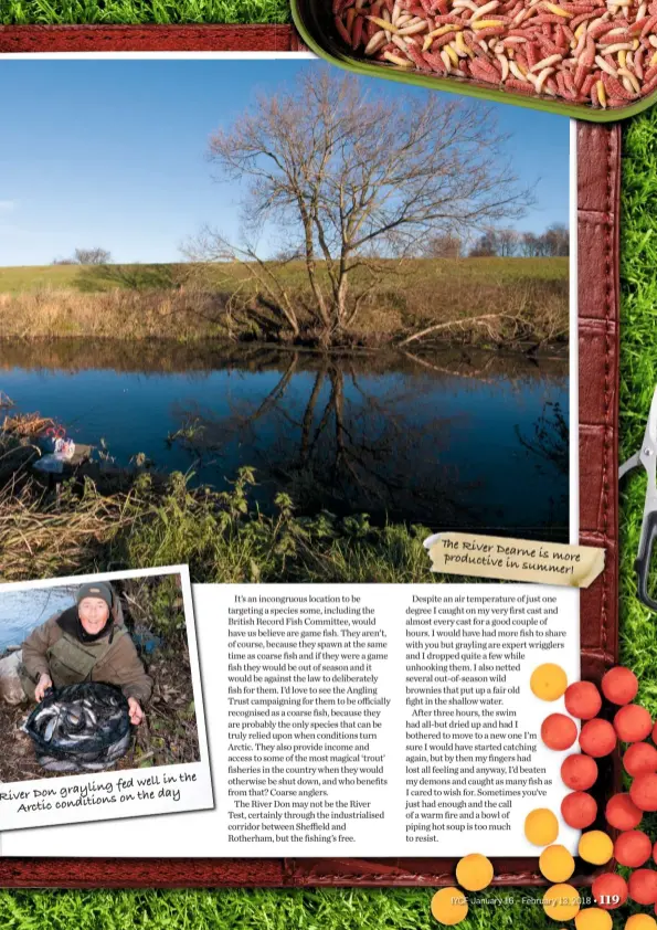  ??  ?? the fed well in River Don grayling on the day conditions Arctic The River Dearne is more productive in summer!