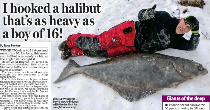  ??  ?? What a whopper: David Wood-Brignall with the halibut he caught in Norway