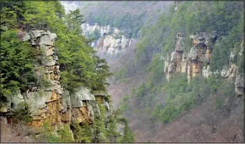  ??  ?? A view of the bluffs from Cloudland Canyon State Park. Visitors can help with trail maintenanc­e as part of National Trails Day on Saturday.