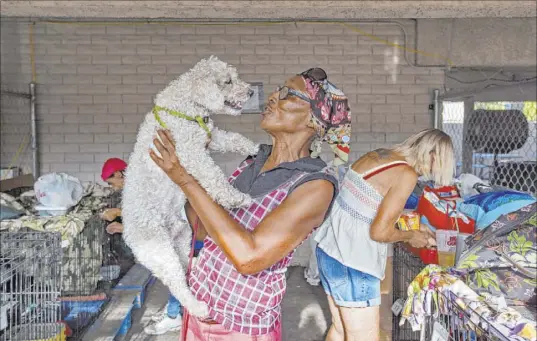  ?? Rachel Aston Las Vegas Review-Journal @rookie__rae ?? Brenda Shelton holds dog Alvin on Wednesday at the Courtyard Homeless Resource Center. It recently marked its first anniversar­y as a 24/7 facility. The facility allows clients to shelter their dogs.