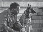  ?? PROVIDED BY MURRAY CLOSE/ LIONSGATE ?? The mysterious Tracker ( Shamier Anderson) has a very good dog in “John Wick: Chapter 4.”