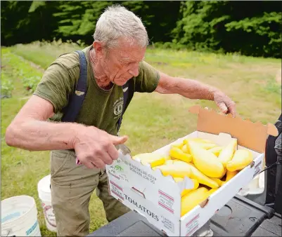  ?? SEAN D. ELLIOT THE DAY ?? Farmer Robert Burns of Aiki Farms in Ledyard places a box of summer squash onto the scale Tuesday. Summer squash and zucchini are headed for the kitchens at the StoneRidge retirement community in Mystic. Burns and StoneRidge Executive Chef Bob Tripp...