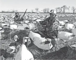  ?? PAUL A. SMITH / MILWAUKEE JOURNAL SENTINEL ?? Pat Gerbensky (right) of Genesee holds a snow goose while on a hunt in Arkansas with a group of Wisconsini­tes, including Jim Lechner (left) of East Troy.