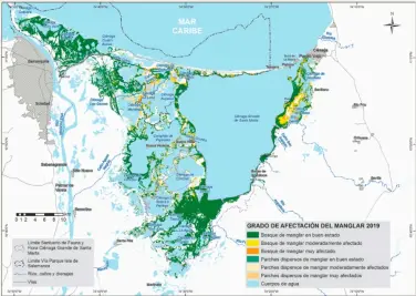  ??  ?? COBERTURA DE MANGLAR EN 2019