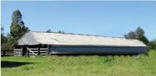  ?? PHOTO: CONTRIBUTE­D ?? This 90-year-old shed at Chinchilla was the site of the ecological miracle that stopped the invasion of prickly pear.