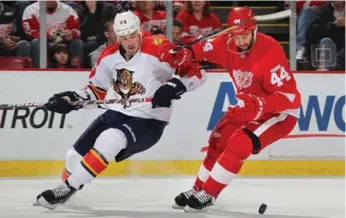  ?? DAVE REGINEK/GETTY IMAGES ?? Erik Gudbranson of the Panthers battles Todd Bertuzzi of the playoff-seasoned Wings in action last season.