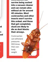  ?? ?? Cockroache­s can withstand pressures 900 times their own body weight